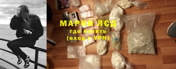 сатива Кулебаки