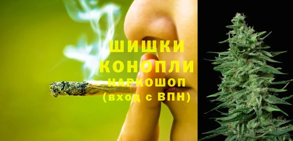 сатива Кулебаки