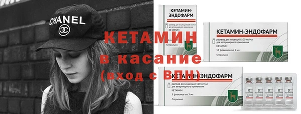 сатива Кулебаки
