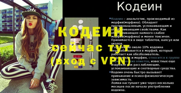 сатива Кулебаки