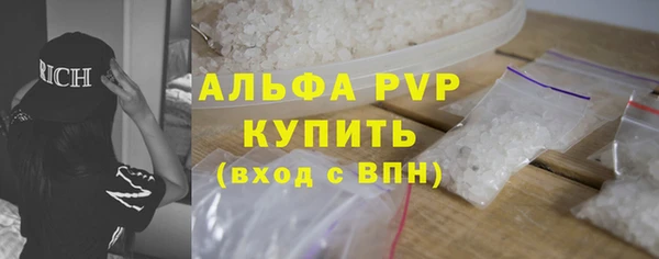 сатива Кулебаки