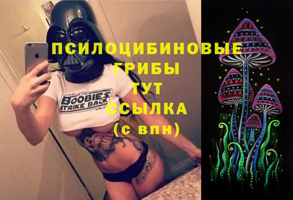 сатива Кулебаки