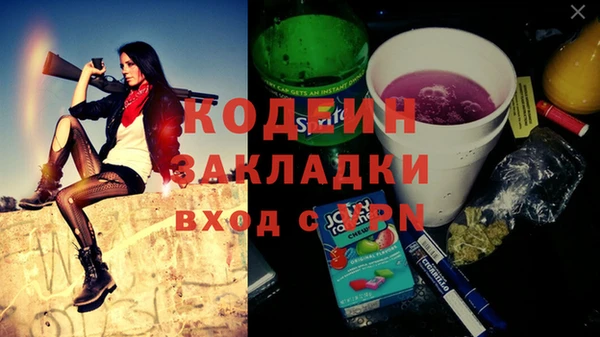 сатива Кулебаки