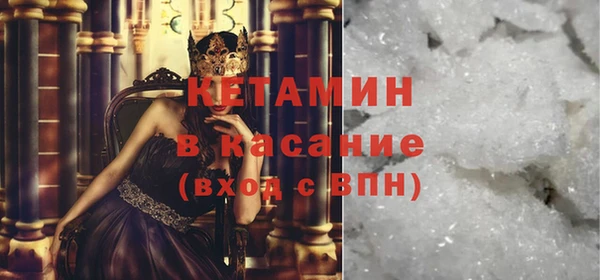 сатива Кулебаки