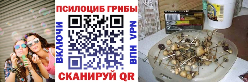 Купить  Яхрома  Галлюциногенные грибы мухоморы 
